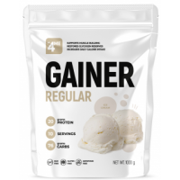 GAINER REGULAR (1000г)